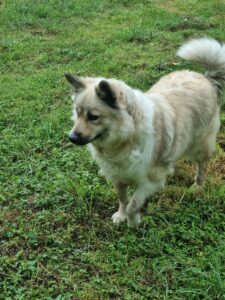 458676538_1549831432289482_3766931319891901107_n