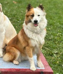 5d1361df-21c6-4457-9a33-da54e97f97ea