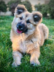 e9c8ec34-fbde-4efb-a554-980c6156ef0e